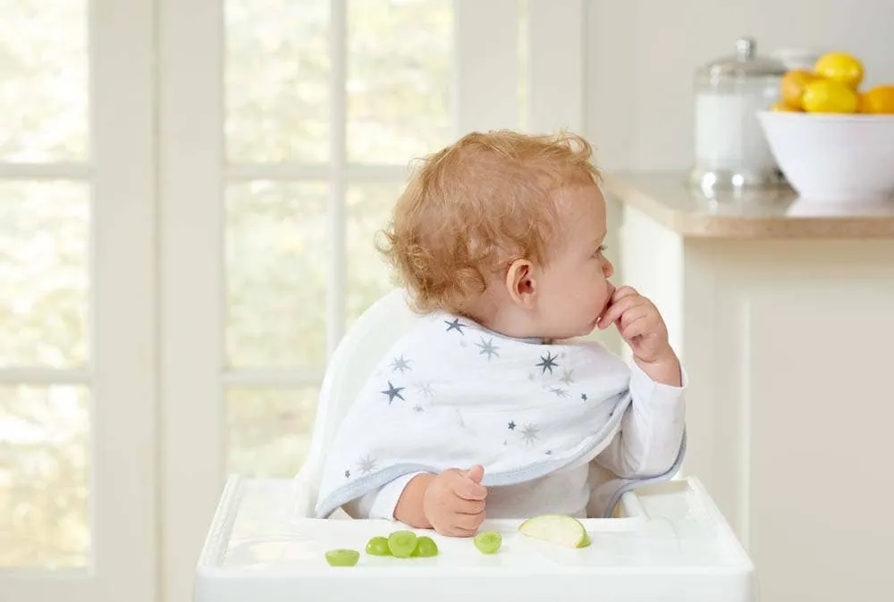 Aden   Anais | 2-Pack Set of Classic Muslin Burby Bibs, Assorted Styles