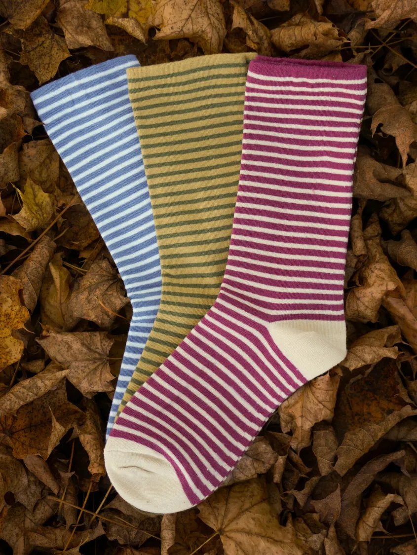 Stacked Stripe Crew Bundle