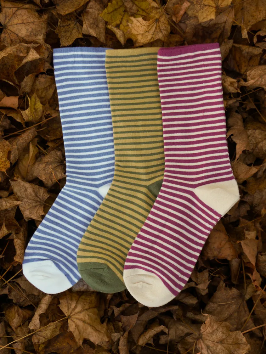 Stacked Stripe Crew Bundle
