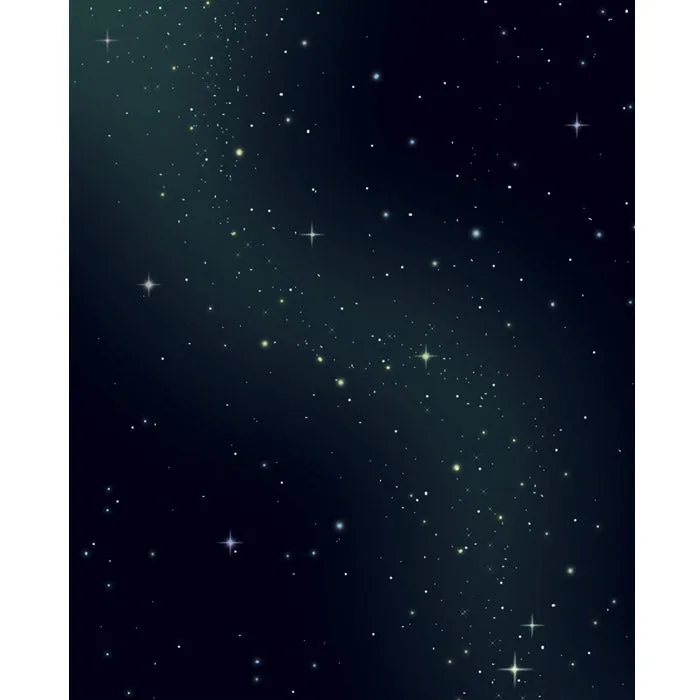 Star Constellations Printed Backdrop